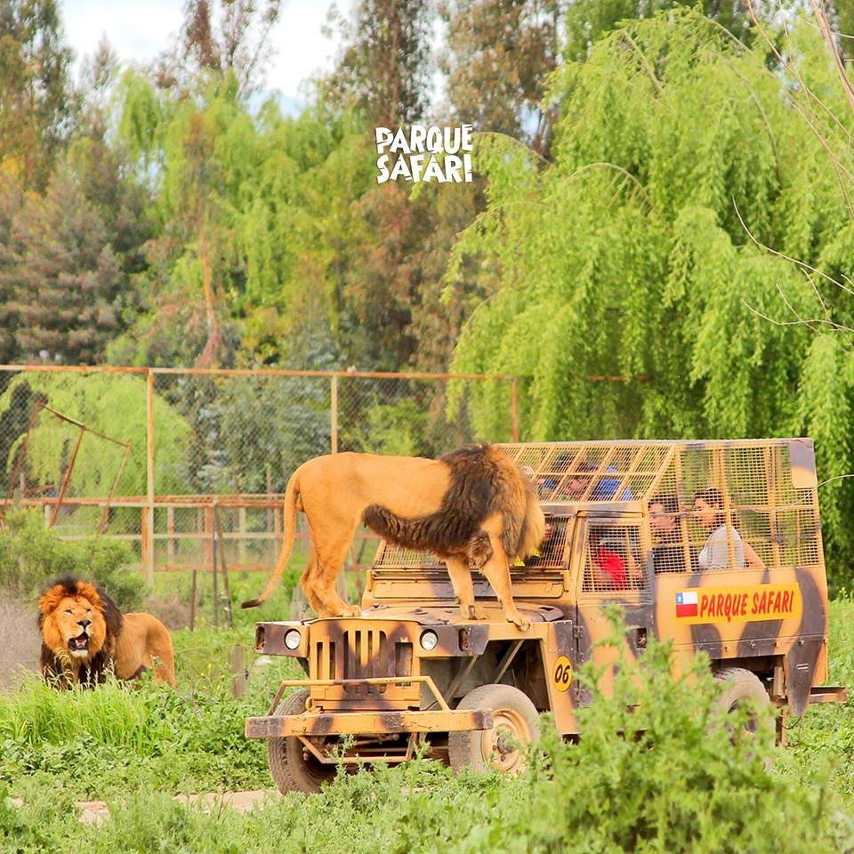Paque Safari